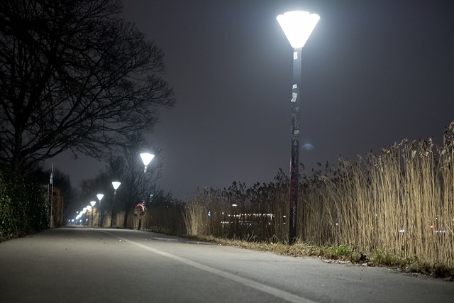 33/365 long and lonely walk home home