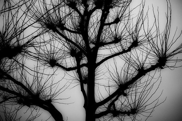 31/365 The Mess Above