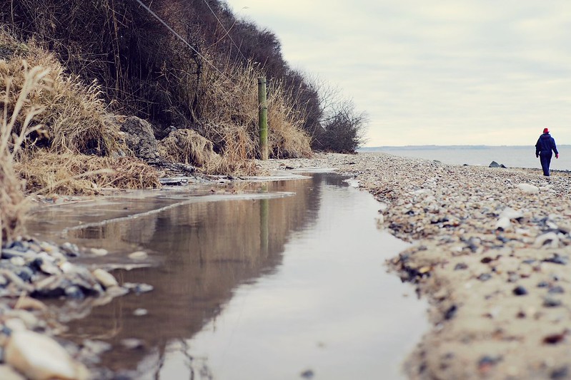 43/365 The cold reflection